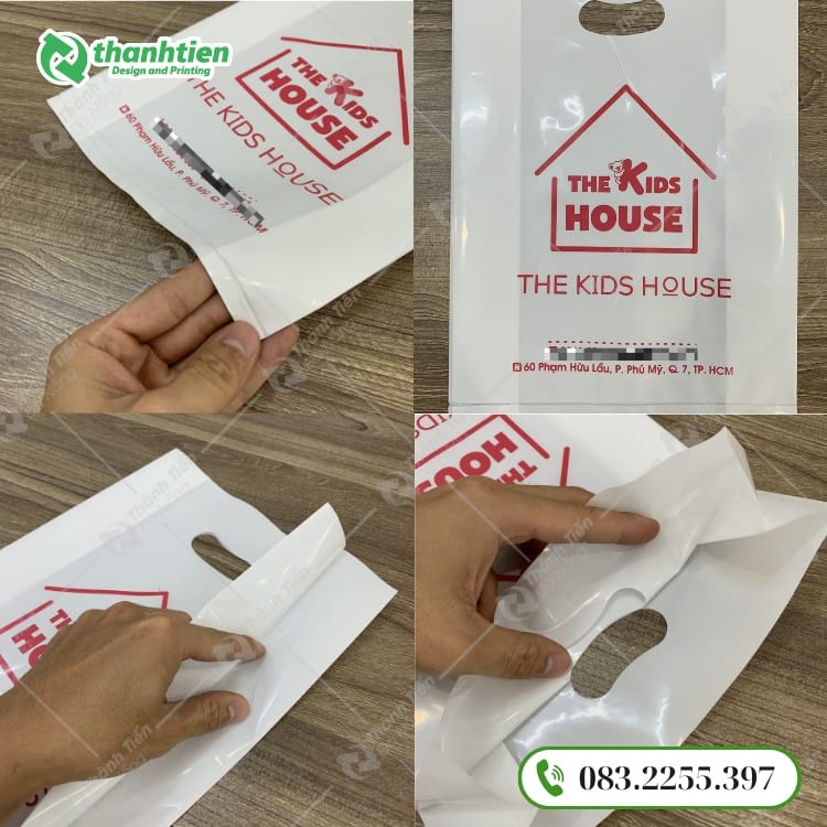 Cấu tạo túi hột xoài