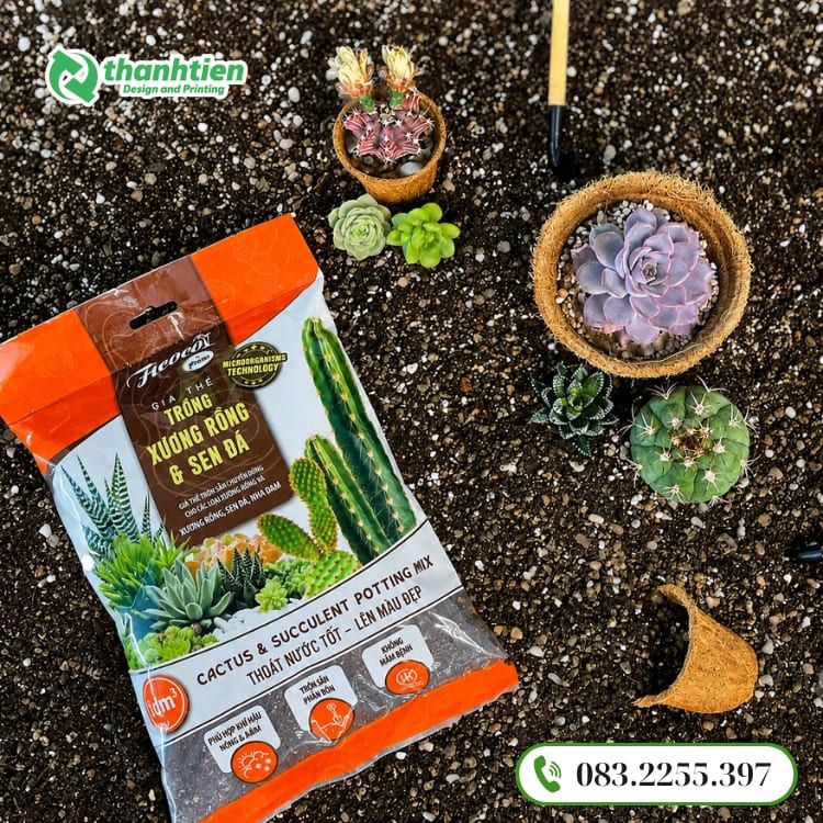 Bao bì giá thể đẹp, in ấn chuyên nghiệp